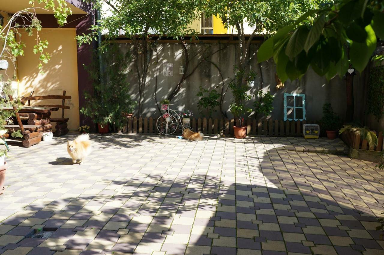 Collosal Studio Bucureşti Ngoại thất bức ảnh
